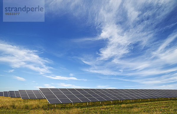 Sonnenkollektoren in einem Solarpark  Watchfield  Oxfordshire  Großbritannien  Europa