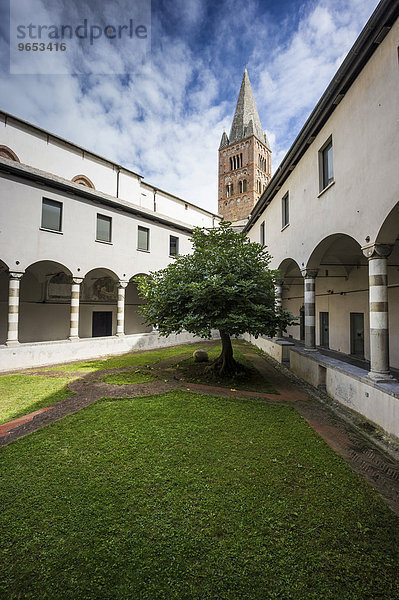 Innenhof mit Feigenbaum  Convento di San Agostino  Genua  Ligurien  Italien  Europa