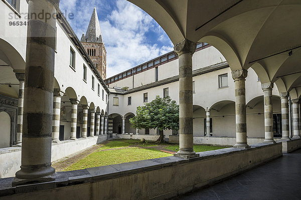 Innenhof mit Feigenbaum  Convento di San Agostino  Genua  Ligurien  Italien  Europa