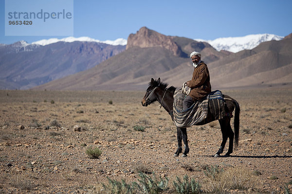 Nomade  Berber auf Pferd  Atlasgebirge  Marokko  Afrika