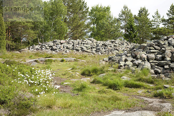 Steinhügelgräber  Tanum  Bohuslän  Schweden  Europa
