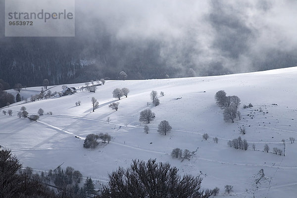 Winterlandschaft  Schwarzwald  Baden-Württemberg  Deutschland  Europa