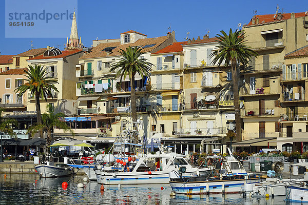 Häuserzeile mit Palmen am Hafen  Calvi  Haute-Corse  Korsika  Frankreich  Europa