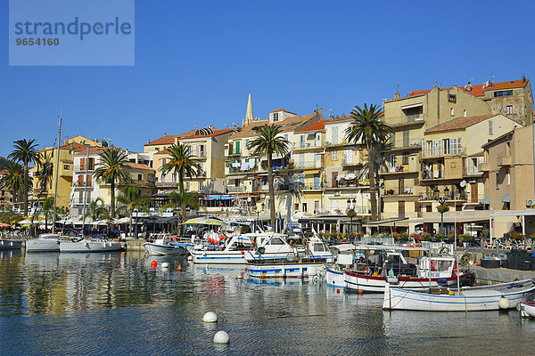 Häuserzeile mit Palmen am Hafen  Calvi  Haute-Corse  Korsika  Frankreich  Europa
