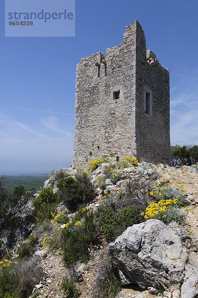 Turmruine  Torre di Castel Carino  Naturpark Maremma  Parco Naturale della Maremma  Toskana  Italien  Europa
