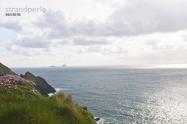 Ausblick auf den Atlantik von Felsenküste  County Kerry  Irland  Europa