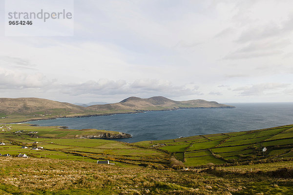 Bucht mit Heckenlandschaft  County Kerry  Irland  Europa