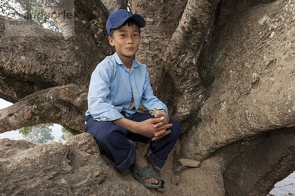 Nepalesischer Schüler in Schuluniform sitzt auf einem Baum  Bandipur  Nepal  Asien