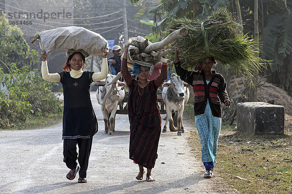 Nepalesische Frauen transportieren Ware auf ihrem Kopf  Sauraha  Nepal  Asien
