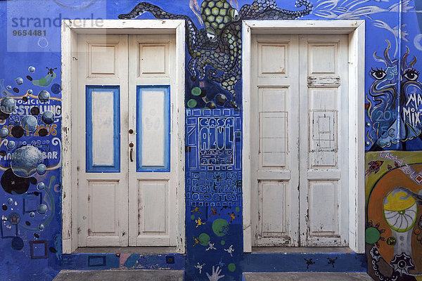 Bunt bemalte Hauswand mit zwei Türen  La Calera  Valle Gran Rey  La Gomera  Kanarische Inseln  Spanien  Europa