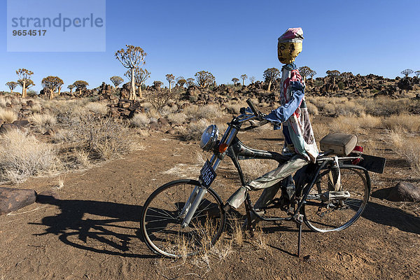 Recycling-Kunst  Radfahrer vor Köcherbäumen (Aloe dichotoma)  Garaspark  bei Keetmanshoop  Namibia  Afrika