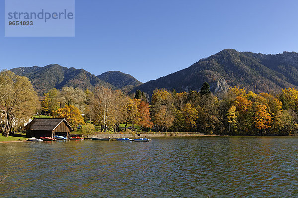 Herbststimmung am Kochelsee mit Jochberg  Kochel am See  Oberbayern  Bayern  Deutschland  Europa