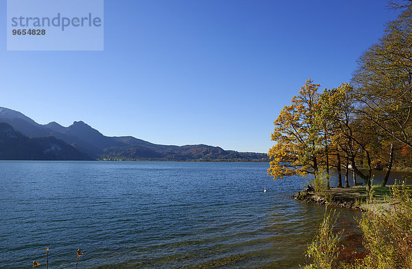 Herbststimmung am Kochelsee  Kochel am See  Oberbayern  Bayern  Deutschland  Europa