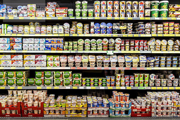 Kühlregal mit verschiedenen Milchprodukten  Supermarkt  Deutschland  Europa