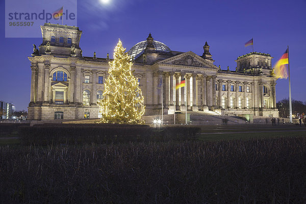Reichstag mit Weihnachtsbaum  Berlin  Deutschland  Europa
