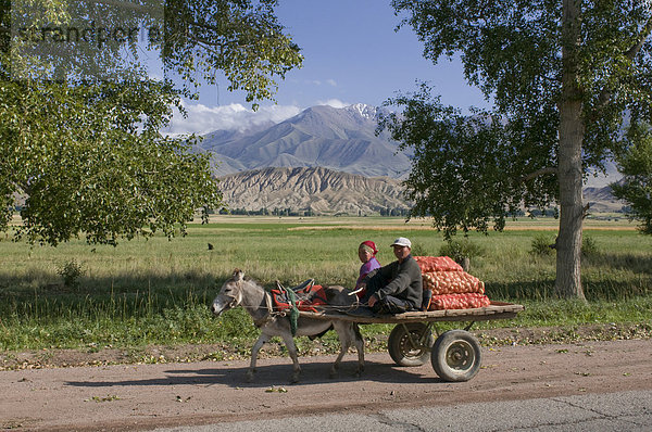 Eselskarre mit Bauern  zwischen Bishkek und Song Köl  Kirgisistan  Zentralasien