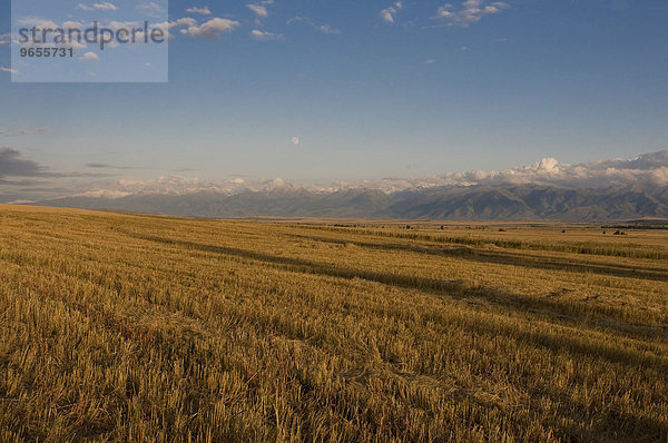 Tian Shan Gebirgskette  Karakol  Kirgisistan  Zentralasien