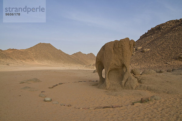 Felsformation in der Form eines Elefanten  in der Tadrat Wüste  Algerien  Afrika