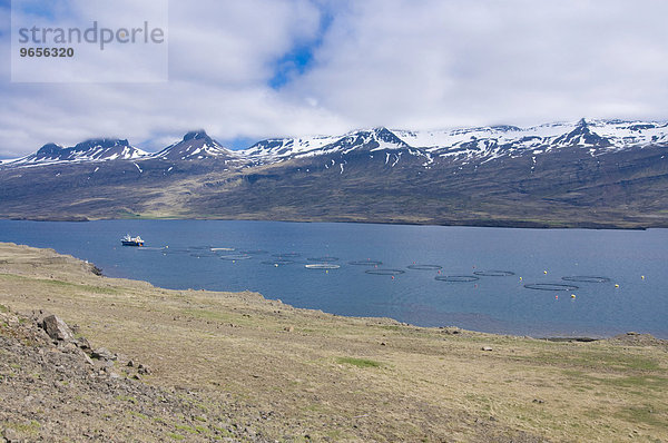 Fjord vor Berglandschaft  wolkenverhangen  mobile Garnelen-Farm  Ostküste  Island  Europa