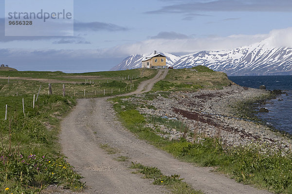 Weg zu einem Haus  Eyjafjördur  Island  Europa