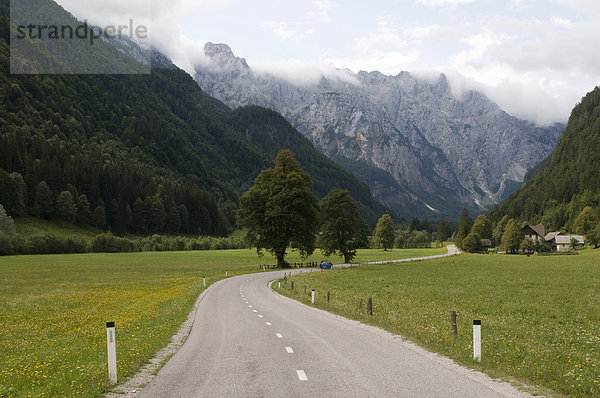 Landstraße führt durch Tal  Logarska  Slowenien  Europa