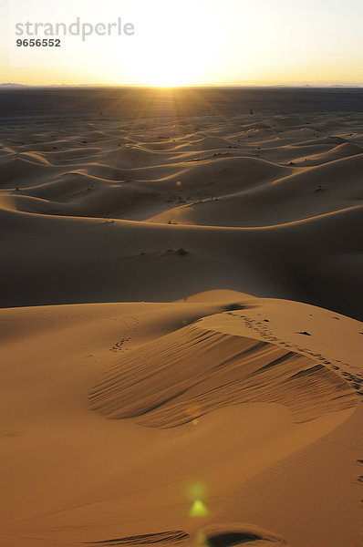 Sahara  Merzouga  Marokko  Afrika