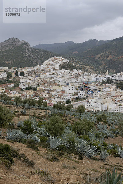 Ausblick auf Moulay Idris  eine der heiligen Städte des Islam  Marokko  Afrika