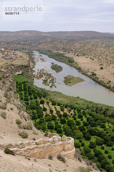 Wüstenlandschaft mit der alten Burgruine Boulaouane am Fluss Oued Oum  Marokko  Afrika