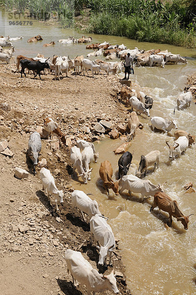 Riesige Wassertränke  Omotal  Äthiopien  Afrika