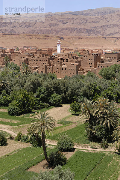 Wüstendorf am Rande der Wüste mit Oase im Vordergrund  Marokko  Afrika