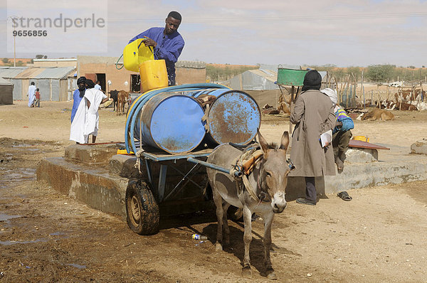 Mann füllt Wasser in Container auf einem Eselskarren  Nouakchott  Mauretanien  nordwestliches Afrika  Afrika