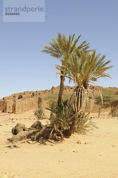Die Ruinen von Ouadane  UNESCO-Weltkulturerbe  Mauretanien  nordwestliches Afrika  Afrika
