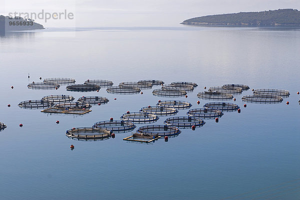 Fischaufzuchtstation in einer stillen Bucht des Mittelmeers  nahe Galaxidi  Griechenland  Europa