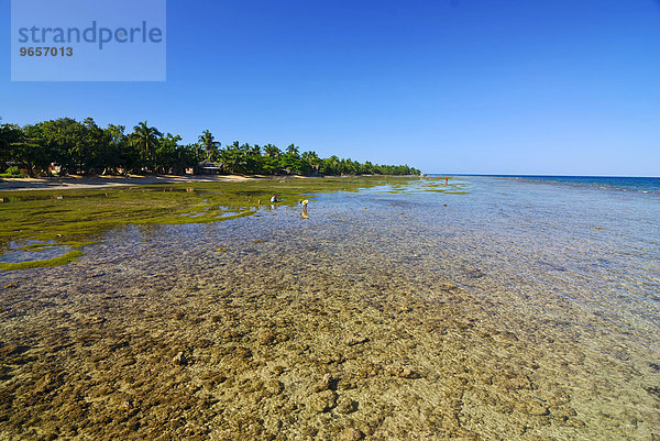 Idyllischer Strand mit glasklarem Wasser auf der Insel Santa Maria  Madagaskar  Afrika