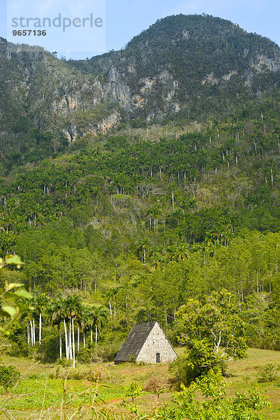 Traditionelles Haus vor den Bergen von Vinales  Kuba  Karibik  Nordamerika