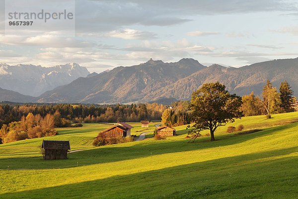 Voralpenlandschaft mit Heustadel mit Ausblick zum Wettersteingebirge  Murnau  Oberbayern  Bayern  Deutschland  Europa