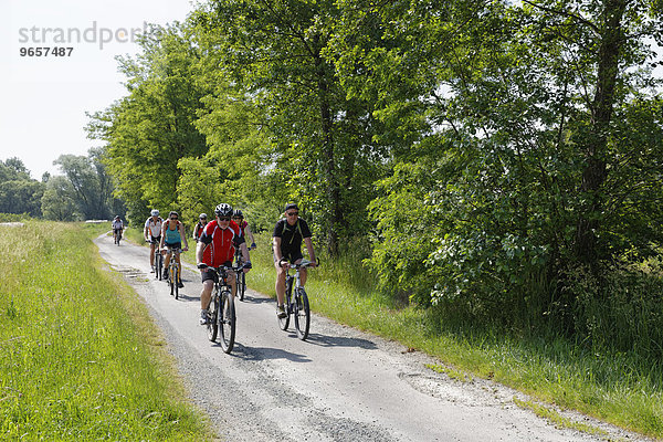 Radfahrer am Lafnitztal-Radweg  Heiligenkreuz im Lafnitztal  Südburgenland  Burgenland  Österreich  Europa