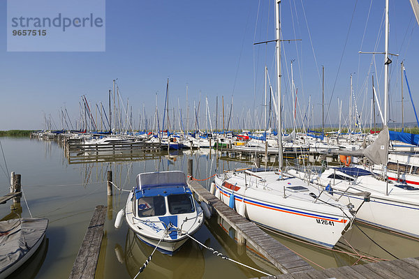 Yachthafen am Neusiedlersee  Neusiedler See  Breitenbrunn  Nordburgenland  Burgenland  Österreich  Europa