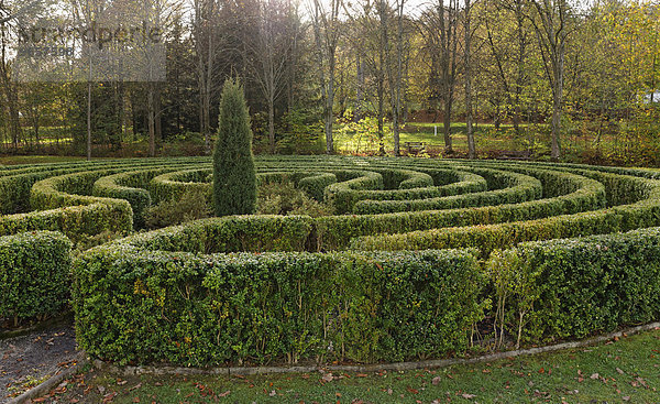 Labyrinth  Kurpark  Bad Tatzmannsdorf  Südburgenland  Burgenland  Österreich  Europa