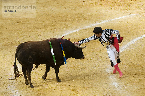 Stierkämpfer und Stier  Stierkampf  Benidorm  Spanien  Europa