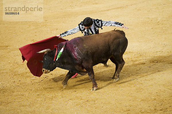 Stierkämpfer und Stier  Stierkampf  Benidorm  Spanien  Europa