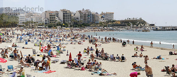 Playa Poniente  Panorama  Benidorm  Provinz Alicante  Spanien  Europa