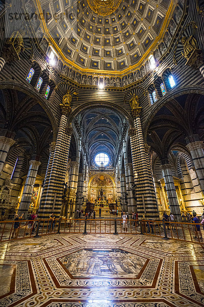 Innenraum mit Mosaikboden  Kuppel und verzierter Decke  Dom von Siena oder Cattedrale di Santa Maria Assunta  Siena  Toskana  Italien  Europa