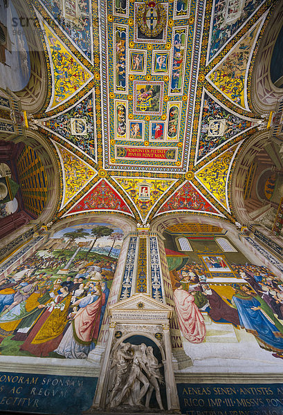 Dombibliothek Piccolomini-Bibliothek  verzierte Decke  Dom von Siena oder Cattedrale di Santa Maria Assunta  Siena  Toskana  Italien  Europa