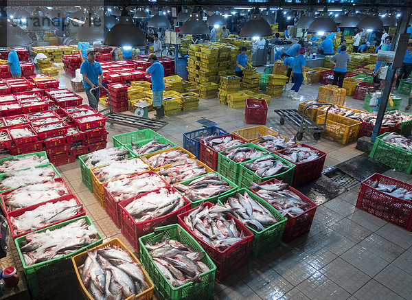 Verschiedene Sorten von Fisch in Plastikkörben mit Eis  zentraler Fischmarkt  Ho-Chi-Minh-Stadt  Vietnam  Asien