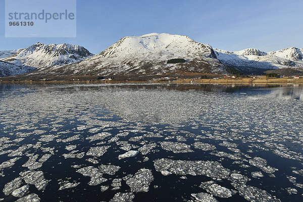 Eisstücke im Wasser des Risøysund vor schneebedeckter bergiger Küstenlinie  Andøya  Vesterålen  Norwegen  Europa