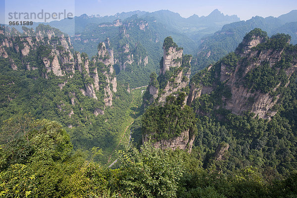 Sandsteintürme in den Bergen von Zhangjiajie  Nationalpark Wulingyuan  Provinz Hunan  China  Asien