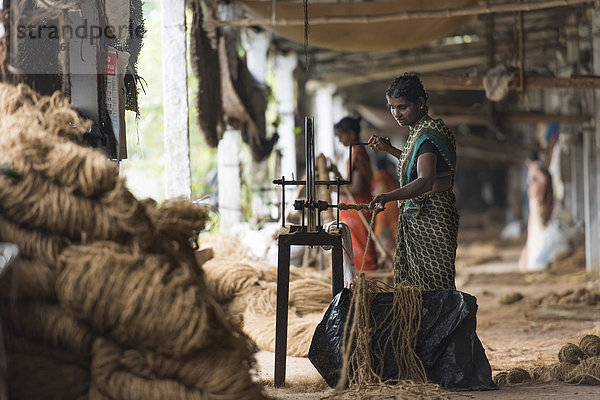 Herstellung von Seilen aus Kokosfasern an hölzernen Maschinen  Kokosfaserindustrie  Fabrik  Alappuzha  Kerala  Indien  Asien