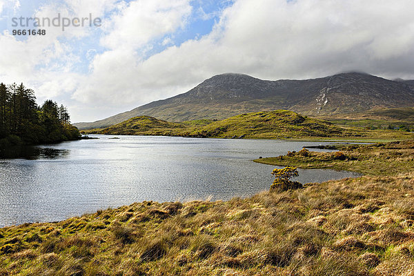 See oder Lough  Connemara  County Galway  Irland  Europa