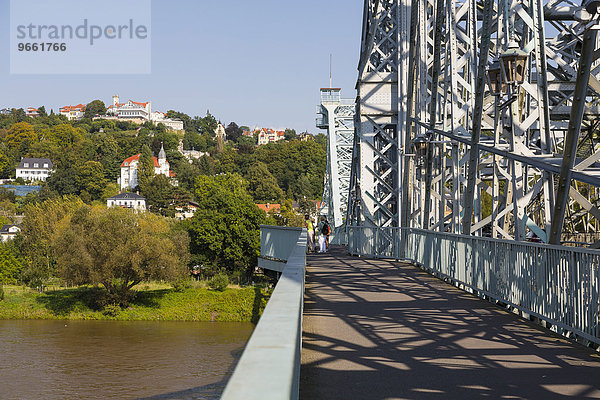 Blaues Wunder oder Loschwitzer Brücke  Dresdner Elbhänge  Dresden  Sachsen  Deutschland  Europa